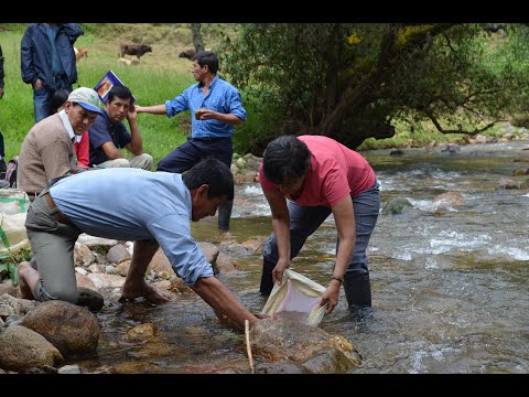 Embedded thumbnail for Vigilando los Bichitos para cuidar el agua