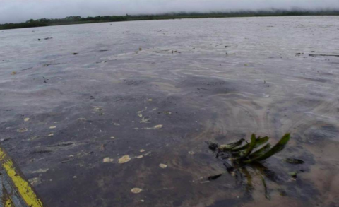 Así luce el río marañon, afectado por el derramede crudo.