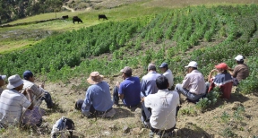 Agricultores en el Valle de Condebamba